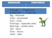 Презентация к уроку английского языка A project about Dinosaurs