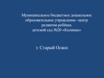 Проект Семейные ценности в духовно-нравственном воспитании дошкольников.