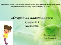 Презентация Огород на подоконнике