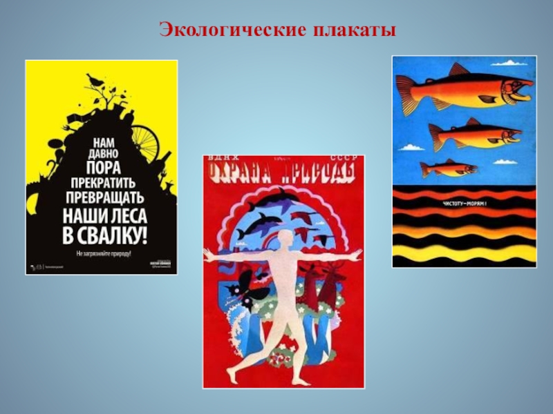 Презентация по ИЗО. 7 класс Экологические плакаты Экологические плакаты