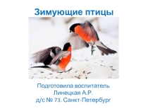 Зимующие птицы