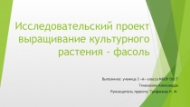 Презентация по окружающему миру исследовательский проект на тему Выращивание культурного растения фасоли, 3 класс