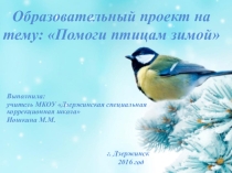 Презентация Проект. Помоги птицам зимой