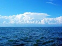 Презентация урока по обучению грамоте на тему Знакомство с буквой Я