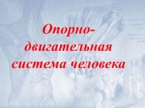 Опорно-двигательная система