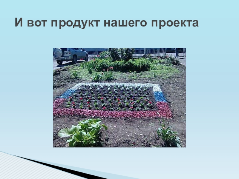 Презентация к социальному проекту Клумба И вот продукт нашего проекта И вот продукт нашего проекта