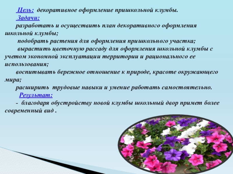 Презентация к социальному проекту Клумба Цель: декоративное оформление пришкольной клумбы. Задачи: разработать и осуществить план Цель: декоративное оформление пришкольной клумбы. Задачи: разработать и осуществить план декоративного оформления школьной клумбы; подобрать растения