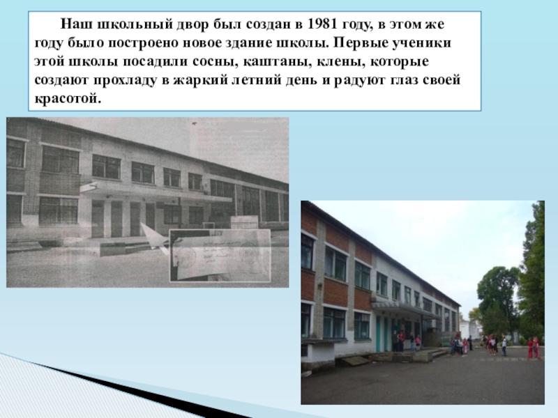 Презентация к социальному проекту Клумба Наш школьный двор был создан в 1981 году, в этом же Наш школьный двор был создан в 1981 году, в этом же году было построено новое здание школы.