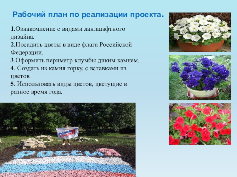 Презентация к социальному проекту Клумба Рабочий план по реализации проекта.1.Ознакомление с видами ландшафтного дизайна. 2.Посадить цветы Рабочий план по реализации проекта.1.Ознакомление с видами ландшафтного дизайна. 2.Посадить цветы в виде флага Российской Федерации.3.Оформить периметр