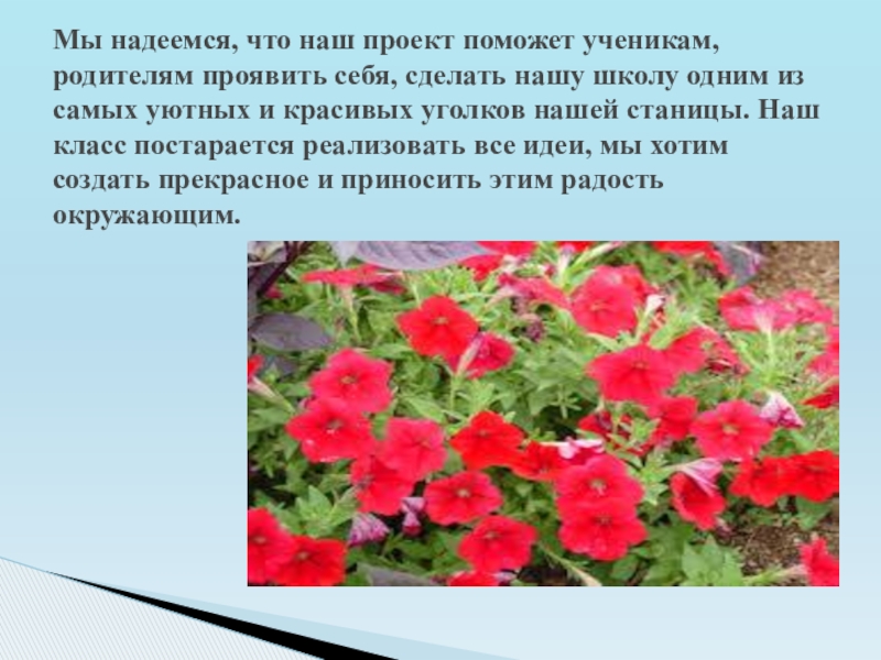 Презентация к социальному проекту Клумба Мы надеемся, что наш проект поможет ученикам, родителям проявить Мы надеемся, что наш проект поможет ученикам, родителям проявить себя, сделать нашу школу одним