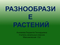 Презентация по предмету Познание мира для 3 класса Разнообразие растений