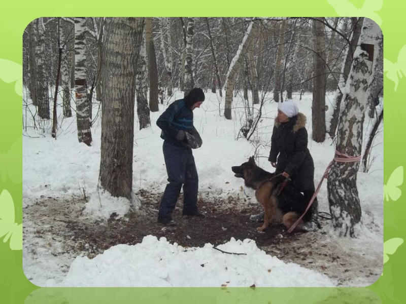 Презентация Собака - мой лучший друг для детей дошкольного и младшего школьного возраста
