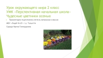 Презентация к уроку окружающего мира 2 класс