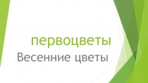 Презентация по познавательному развитию Первоцветы