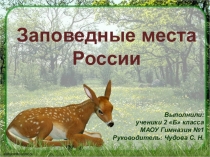 Проект Заповедные места России