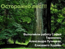 Осторожно, лес