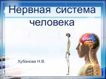 Презентация по окружающему миру Нервная система человека