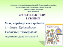 Адамның дене мүшелері 1-сынып