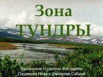Естествознание Тундра для студентов