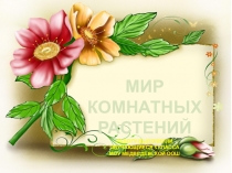 Презентация Мир комнатных растений проект (5 класс)