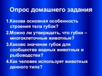 Презентация по биологии тип Кишечнополостные