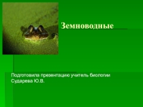 Презентация по биологии на тему Земноводные, 7 класс