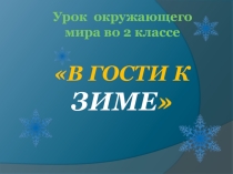 Презентация по окружающему миру на тему В гости к зиме (2 класс)