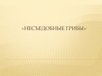 Презентация по биологии на темуГрибы(7 класс)