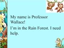 Презентация по английскому языку на тему In the Rain forest