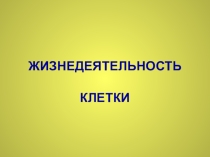 Жизнедеятельность клетки-рост, размножение и питание