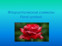 Презентация Флористические символы.Floral symbols