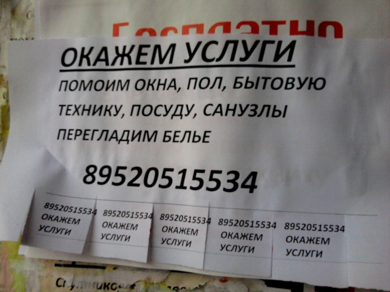 Презентация по русскому языку Непознанный русский язык