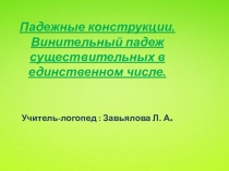 Падежные конструкции. Винительный падеж существительных в единственном числе.