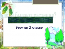Презентация по окружающему миру Какие быват растения.