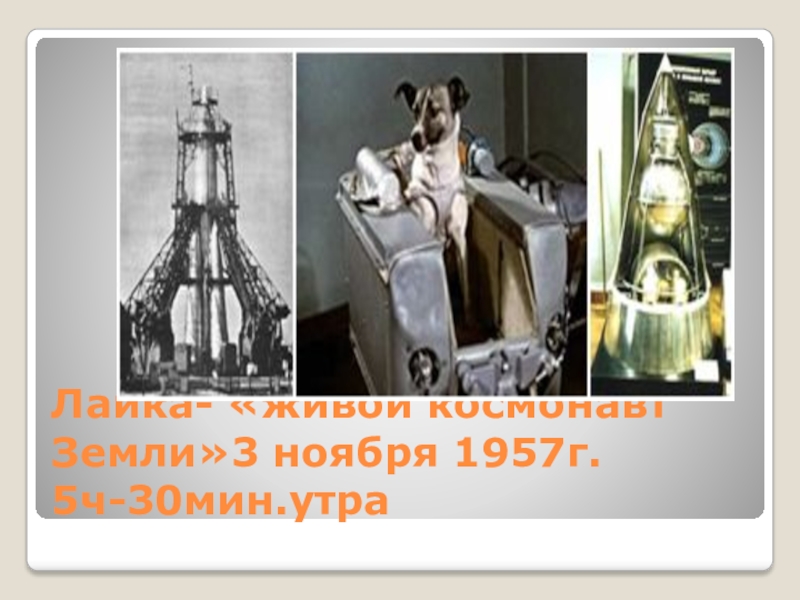 Страна,открывшая дорогу в космос Лайка- «живой космонавт Земли»3 ноября 1957г. 5ч-30мин.утра Лайка- «живой космонавт Земли»3 ноября 1957г. 5ч-30мин.утра