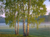 Презентация к 90 - летию Троицкого района