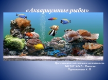 Презентация для детей старшего дошкольного возраста Аквариумные рыбы.