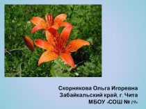 Презентиция  Туризм и краеведение в начальной школе