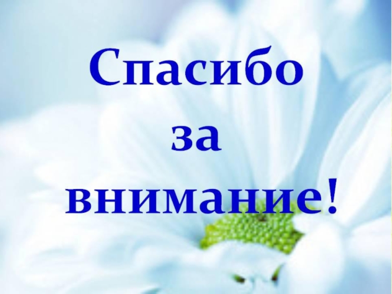Презентация научно-исследовательского проектаРусские праздники Сибири в современном мире Спасибо за внимание! Спасибо за внимание!