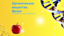 Органические вещества. Белки