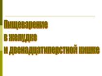 Презентация к уроку по биологии 8 кл Пищеврение в желудке и 12-перстной кишке