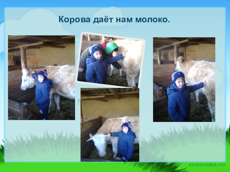 Презентация, внеурочная деятельность Весёлый урок о том, что вкусно и полезно.Пейте, дети, молоко - будете здоровы. Корова даёт нам молоко. Корова даёт нам молоко.