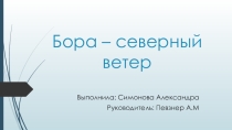 Бора (про ветер бора)