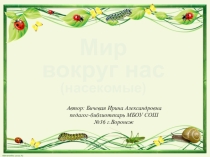 Викторина для младших школьников Мир вокруг нас (насекомые)