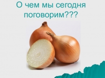 Презентация  Лук - наш верный друг