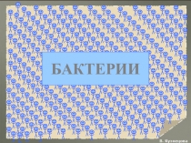 Бактерии