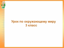 Презентация по окружающему миру Семейный бюджет 3 класс