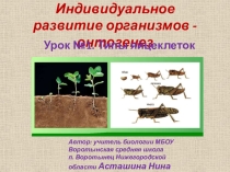 Презентация по биологии в 10 классе Типы яйцеклеток
