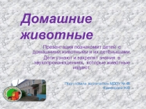 Презентация Домашние животные — где дети познакомятся с домашними животными и их детенышам.