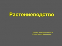 Презентация по окружающему миру на тему Растениеводство
